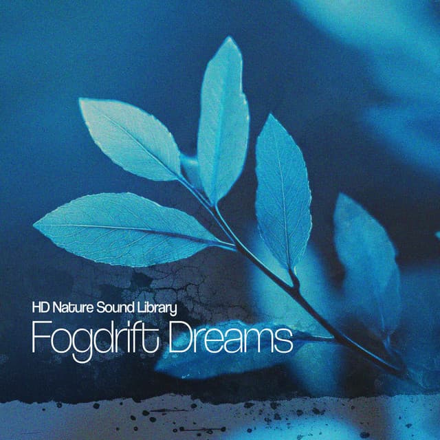 Fogdrift Dreams - HD Nature Sound Library