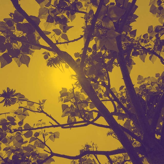 Music for Cool Trips - Jazz for Hotel Lobbies