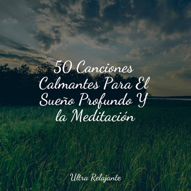 50 Canciones Calmantes Para El Sueño Profundo Y la Meditación - Sueños Triplete