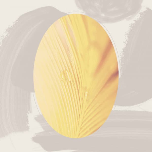 Feelings for Seasonal Feelings - Cosy Music Deluxe