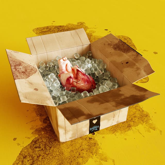 emotions - Das Lumpenpack