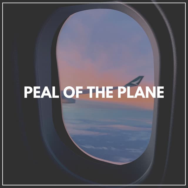 Peal of the Plane - Ambient Nature White Noise