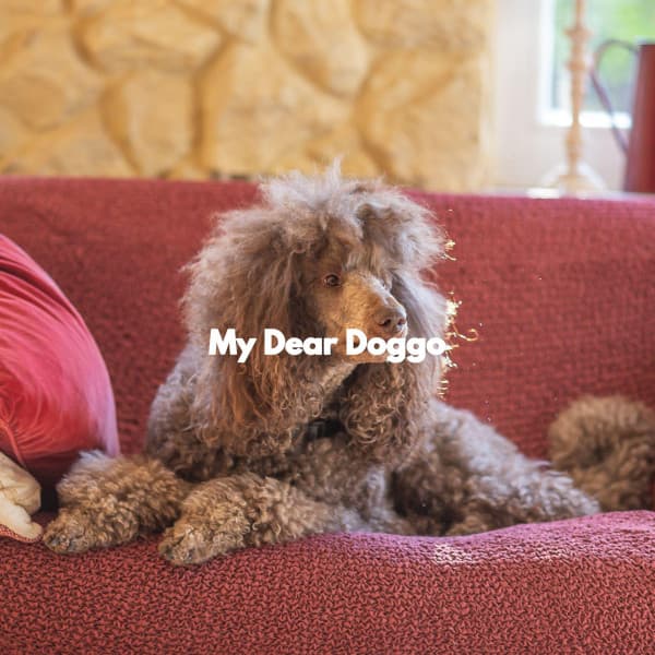 My Dear Doggo - Alegre Música para Cocinar