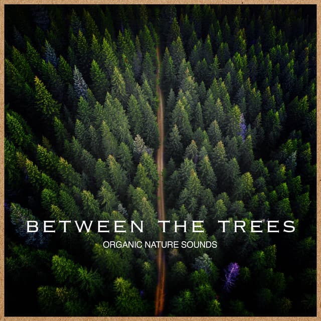 Between the Trees - Organic Nature Sounds
