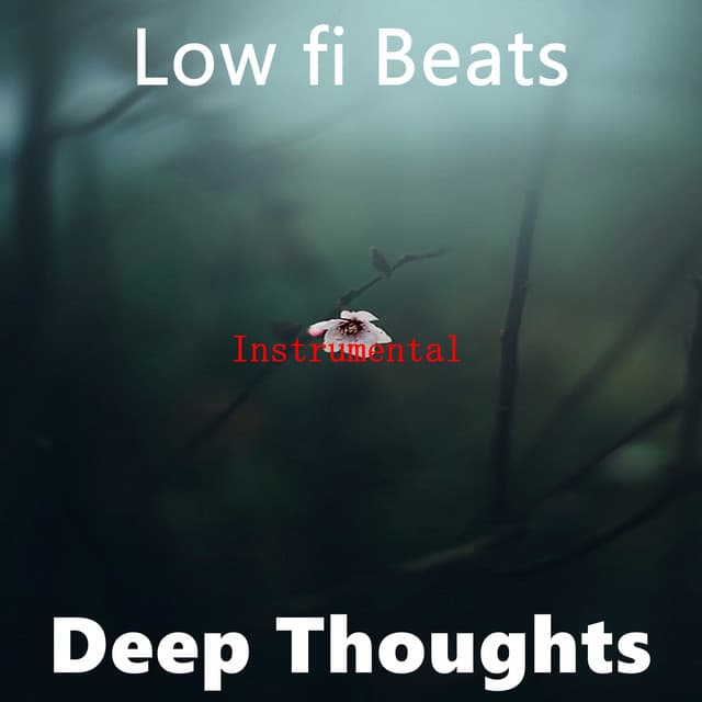 Low fi Beats