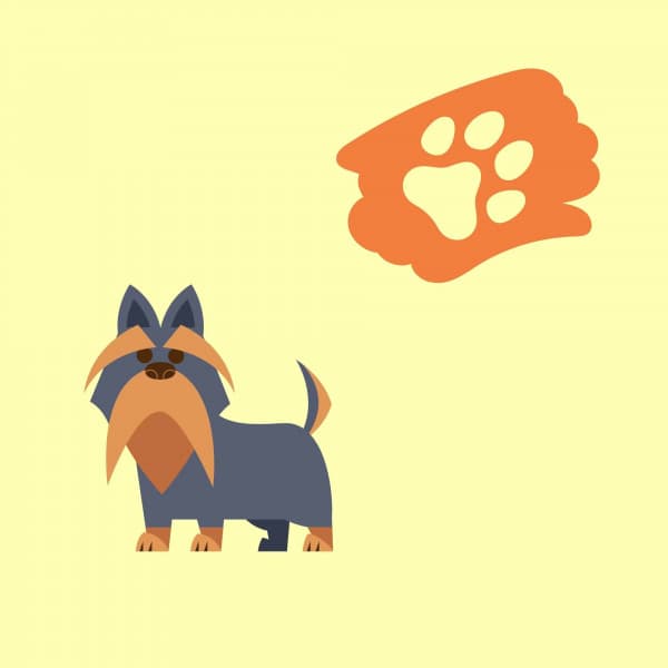 Music for Doggy and Lullaby - Doggy Music