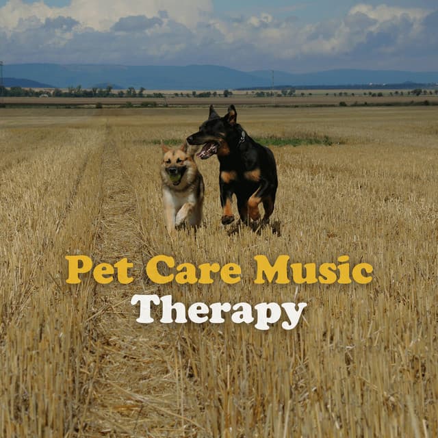 Pet Care Music Therapy - Dog Music Therapy