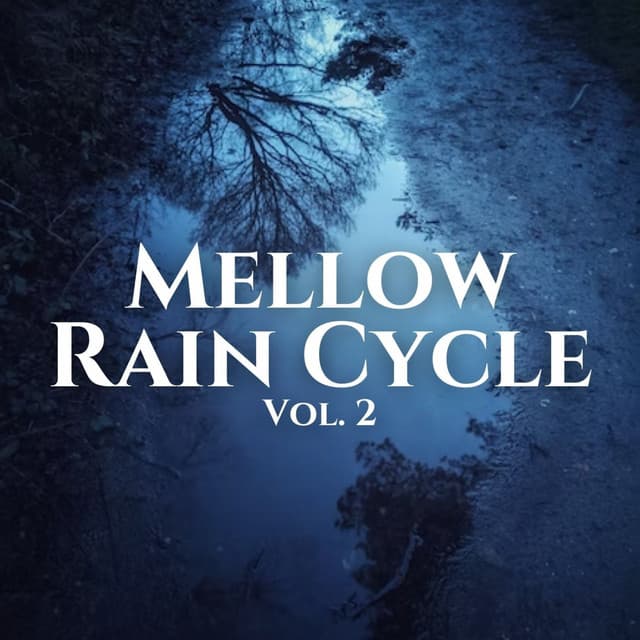Mellow Rain Cycle Vol. 2 - Ambient Rain