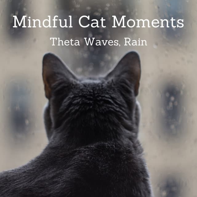 Mindful Cat Moments: Theta Waves, Rain - Sleepy Cats