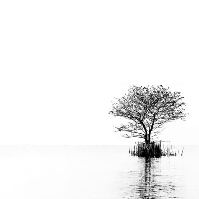 Ambient Music Healing - Music Healer