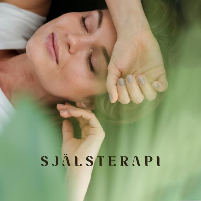 Själsterapi - Misty Ray