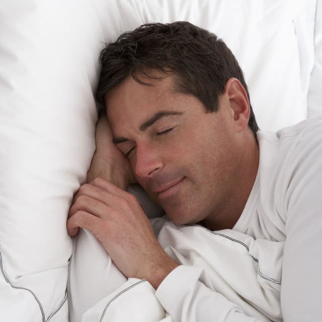 Forest Dreams: Insects and Ambient Harmony for a Peaceful Sleep - Sleep Crickets