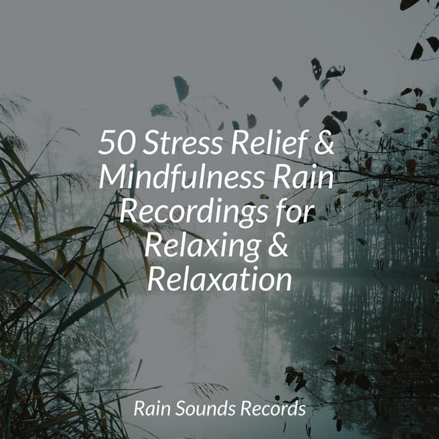 50 Stress Relief & Mindfulness Rain Recordings for Relaxing & Relaxation - Instrumental