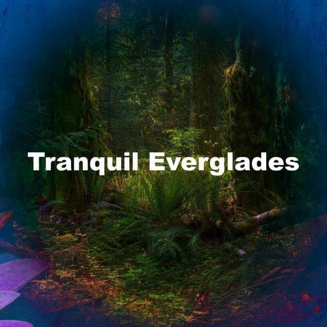Tranquil Everglades - Pure Nature Noises