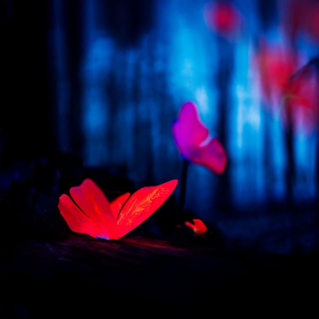 Where Silence Blooms - Melisa Depth