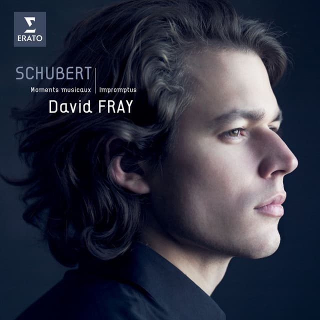 Schubert: Impromptus, Op. 90 - Moments Musicaux, Op. 94 & Allegretto, D. 915 - Franz Schubert