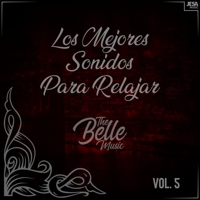Los Mejores Sonidos para Relajar, Vol. 5 - The Belle Music