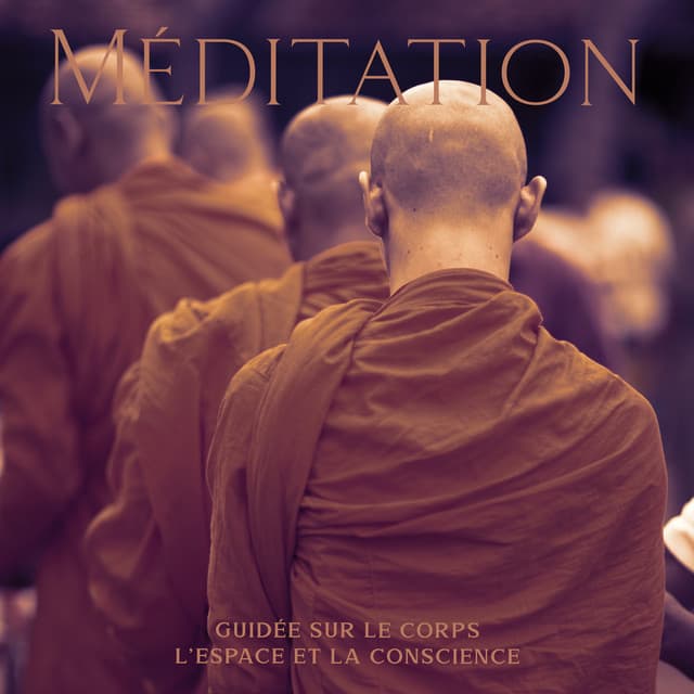 Méditation guidée sur le corps, L'espace et la conscience: Musique pour détendre en temps, Zen matin, Pensèe positive, Parfait yoga, Musique apaisante de fond, Exercices à Zen - Zen Méditation Ambiance