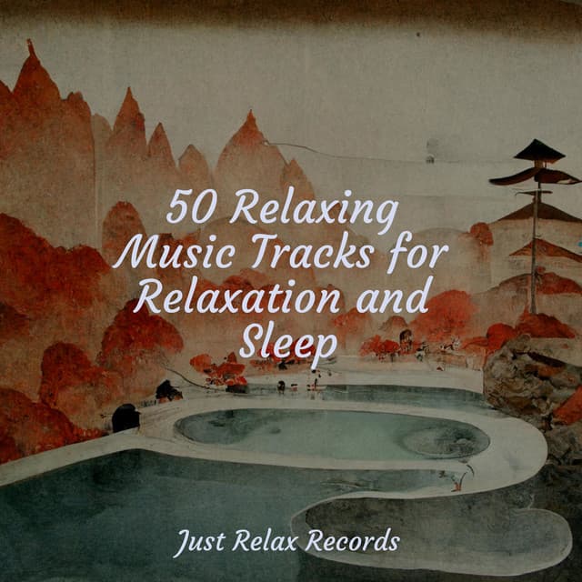 50 Relaxing Music Tracks for Relaxation and Sleep - Relaxation