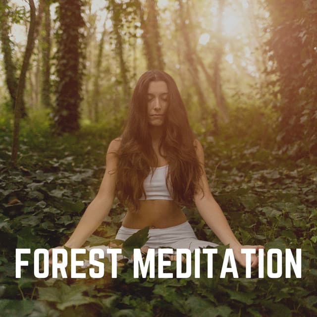 Forest Meditation - Thanael Wendtura