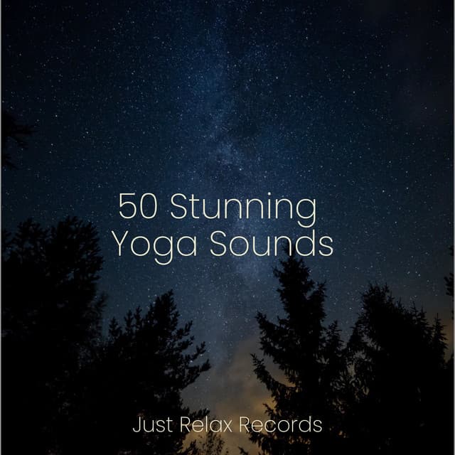 50 Stunning Yoga Sounds - Lounge relax