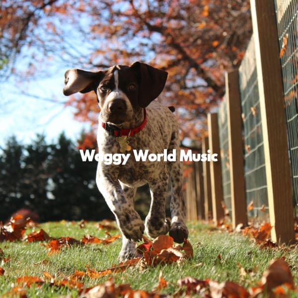 Waggy World Music - Jazz Piano Instrumentals