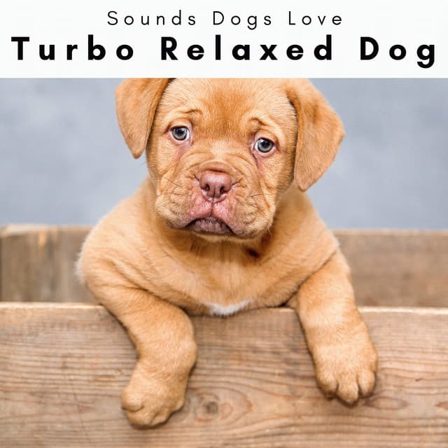 1 Turbo Relaxed Dog - Sounds Dogs Love