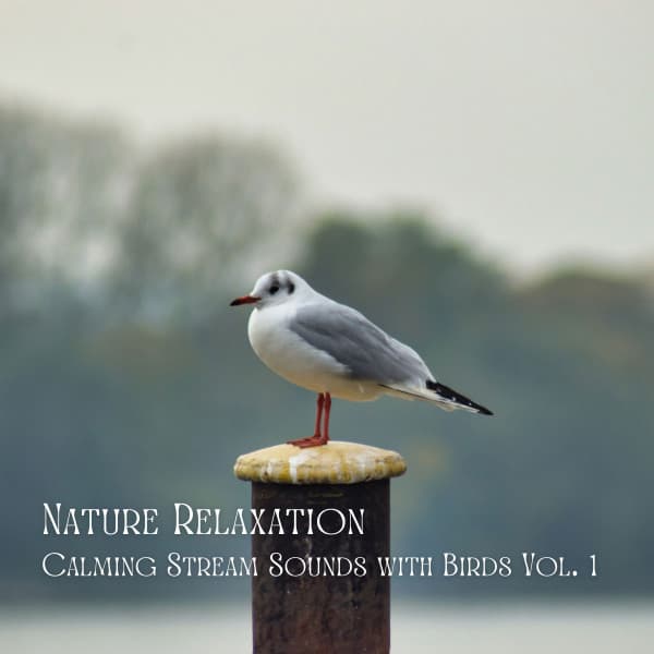 Nature Relaxation: Calming Stream Sounds with Birds Vol. 1 - Relaxing Spa Music