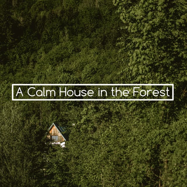 A Calm House in the Forest - Tranquility Spree