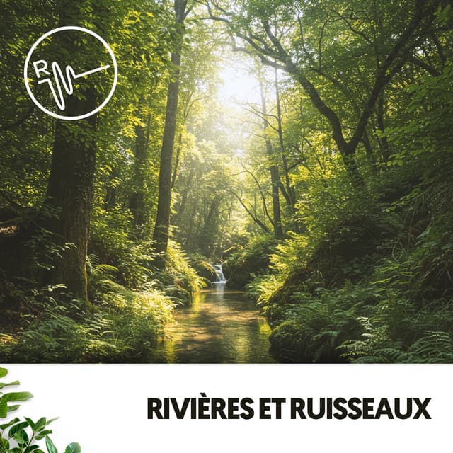 Rivières et Ruisseaux : Mélodies Aquatiques - Ruido Blanco Hart