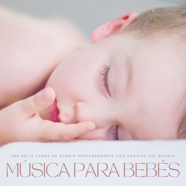 Música Para Bebés: Una Bella Forma De Dormir Profundamente Con Sonidos Del Bosque - Música Relajante para Bebés