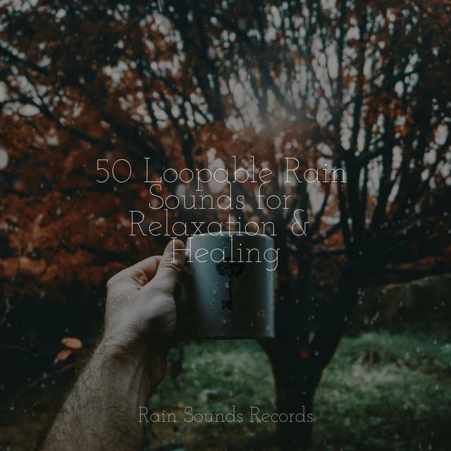 50 Loopable Rain Sounds for Relaxation & Healing - Nature Sounds Nature Music