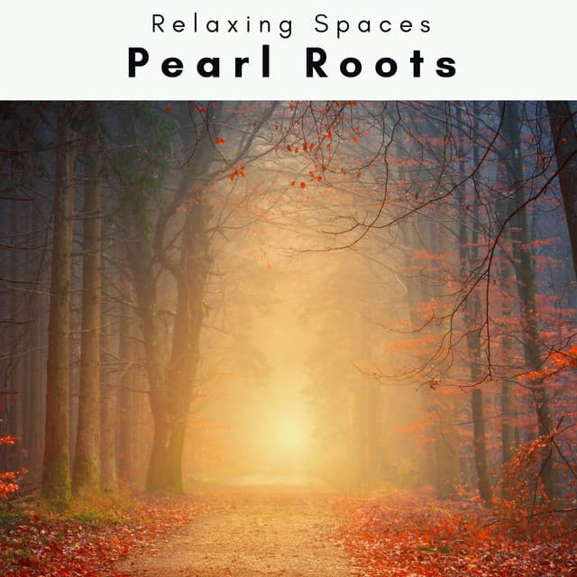 4 Rel: Pearl Roots - Relaxing Spaces