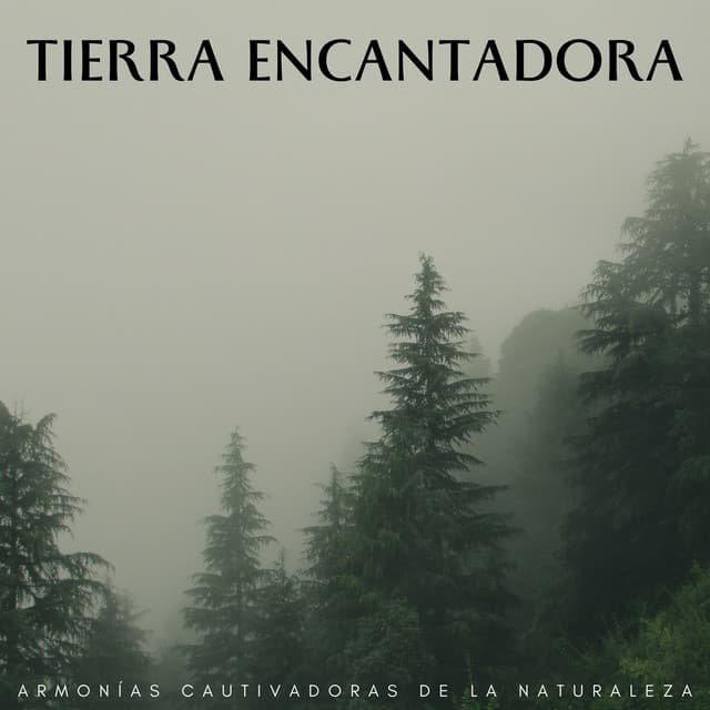 Tierra Encantadora: Armonías Cautivadoras De La Naturaleza - LatinoFi
