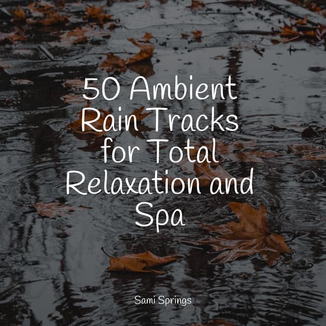 50 Ambient Rain Tracks for Total Relaxation and Spa - Restless Baby Music
