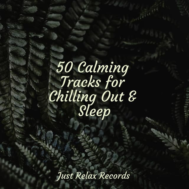 50 Calming Tracks for Chilling Out & Sleep - Mantra para Dormir