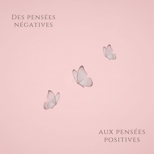 Des pensées négatives aux pensées positives - Zen Méditation Ambiance
