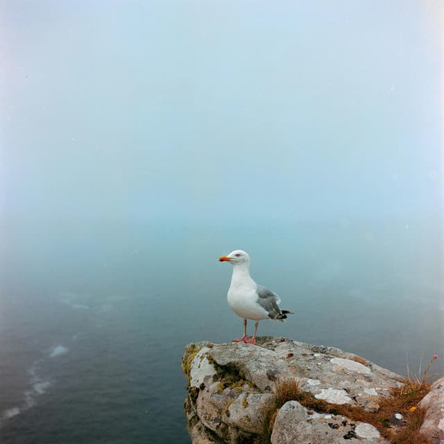 1 Ohm Sun: Infinite Shine - 16 Bit Serenity