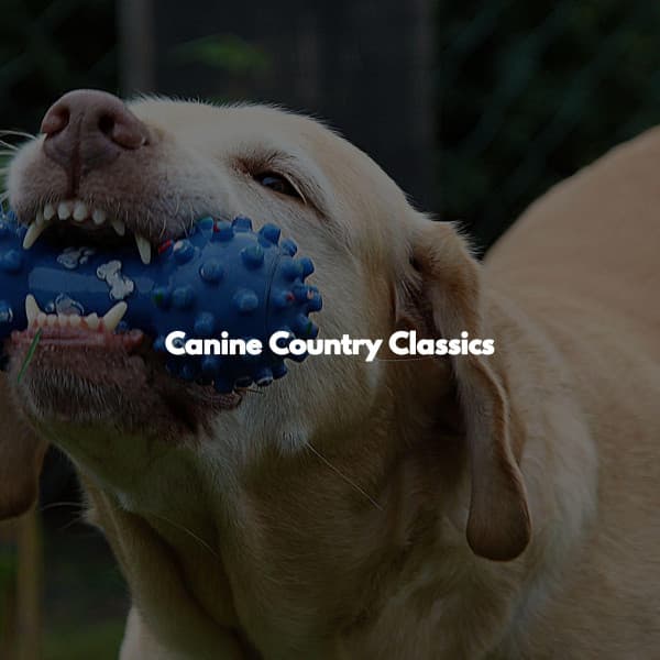 Canine Country Classics - Jazz Office