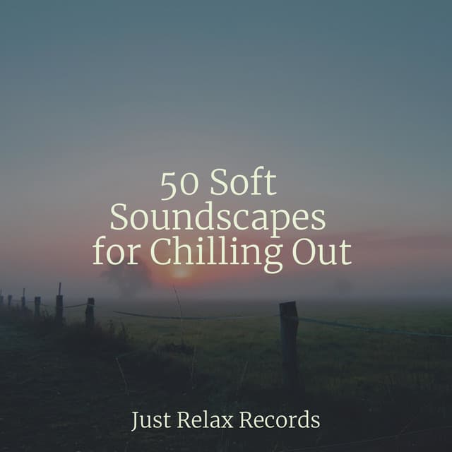 50 Soft Soundscapes for Chilling Out - Best Relaxing SPA Music