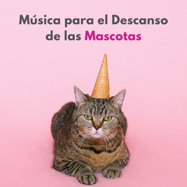 Música Para El Descanso De Las Mascotas - Pasión por el piano