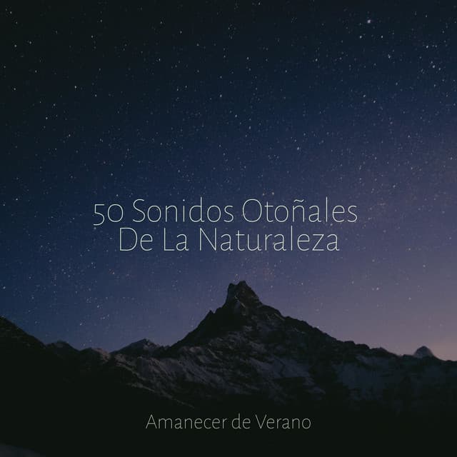 50 Sonidos Otoñales De La Naturaleza - Sonidos De Lluvia y Tormentas