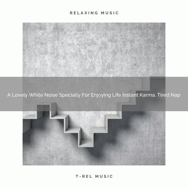 A Lovely White Noise Specially For Enjoying Life Instant Karma, Tired Nap - Fan Brown Noises