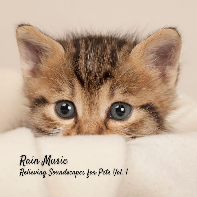 Rain Music: Relieving Soundscapes for Pets Vol. 1 - Soothing Cat Music