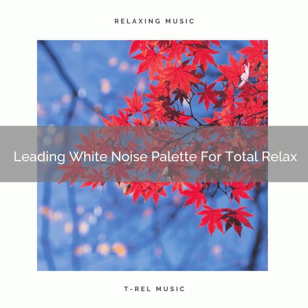 Leading White Noise Palette For Total Relax - Sleepy Noise