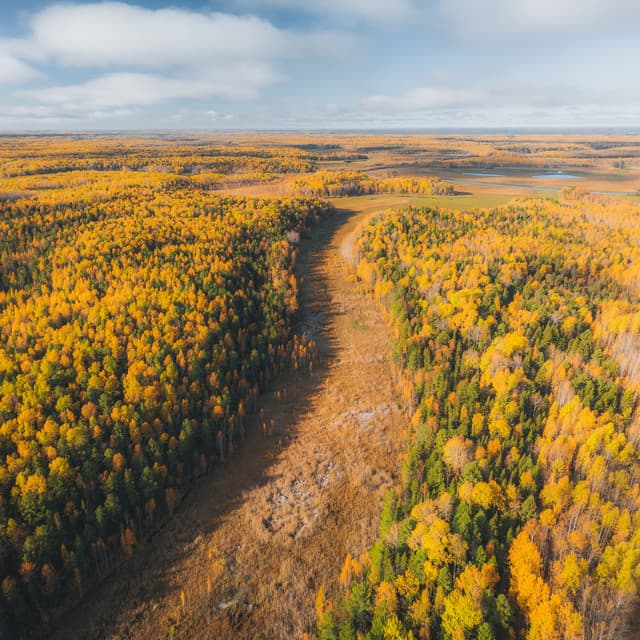 Grey Sleep Calming Noise - Fans & White Noise