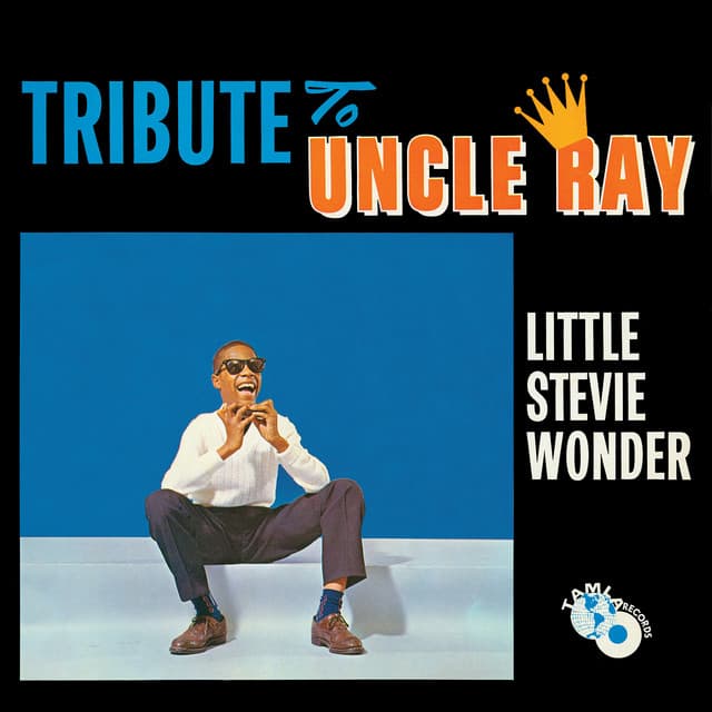 Tribute To Uncle Ray - Stevie Wonder
