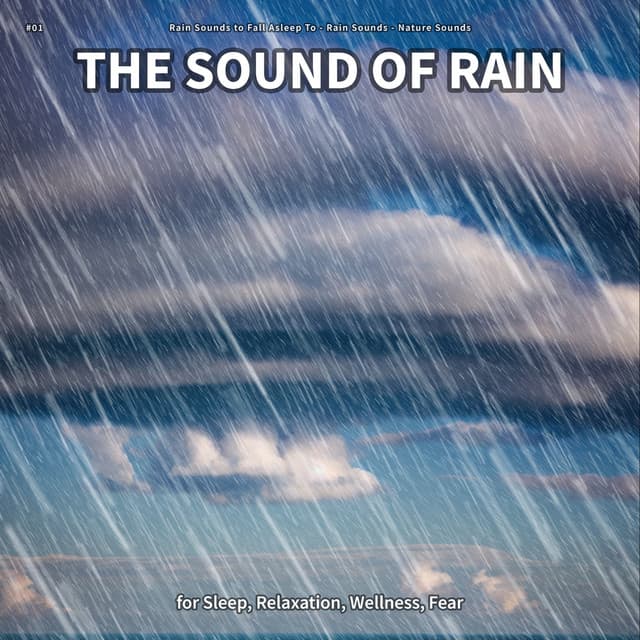 Rain Sounds to Fall Asleep To