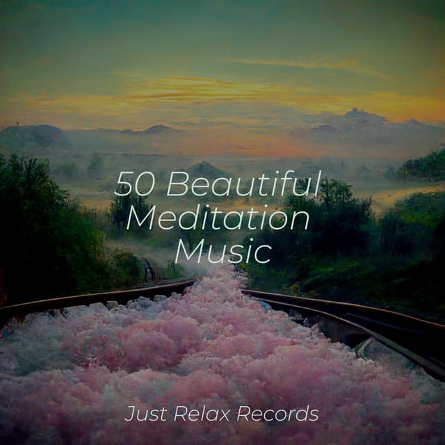 50 Beautiful Meditation Music - Meditation