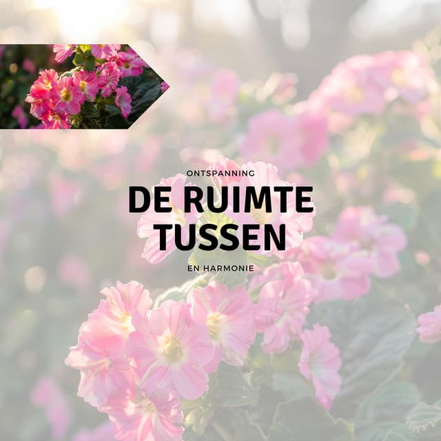 De Ruimte Tussen - Ontspanning en Harmonie